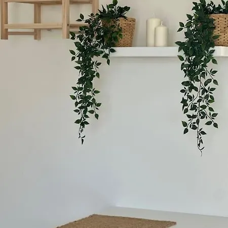 Terrace In Town Apartment Bari